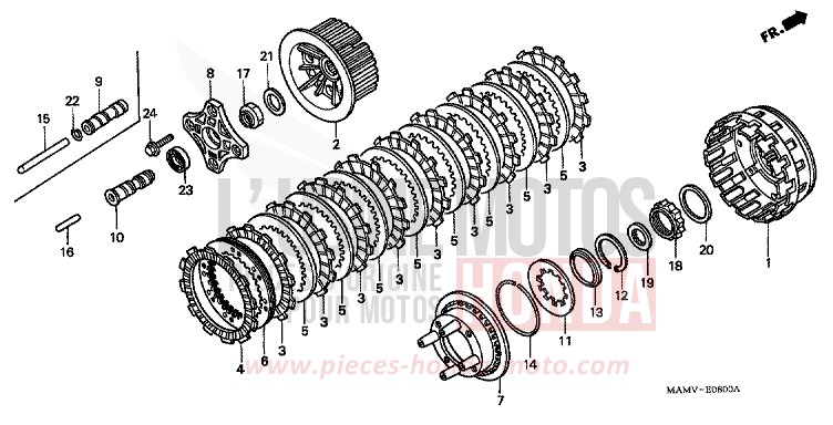 KUPPLUNG von Gold Wing PEARL MERCED GREEN (G167G) von 1999